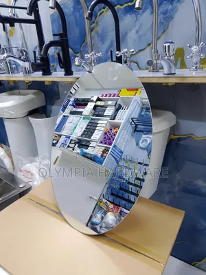 Oval Vanity Mirror 450* 600mm