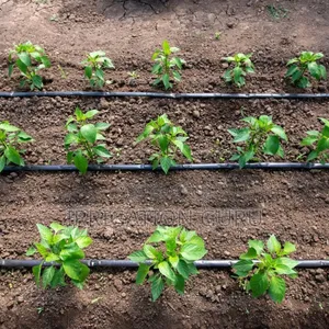 Irrigation Drip Tubes 20cm Spacing