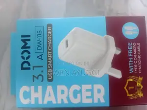 Type C Fast Charger Head Plus Free Cable