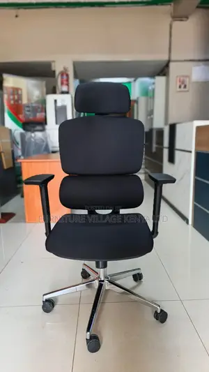 Executive Orthopedic Office Seat