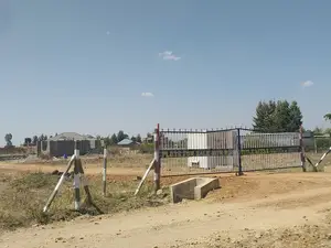 Juja Kalimoni Plots for Sale Size 50 by 100 With Ready Title Deeds