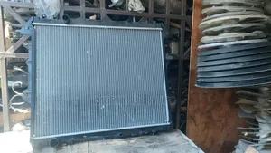 New Vigo Radiator