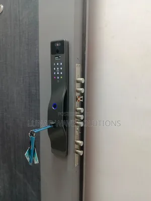 Palm and Face Recognition Smart Locks