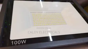 Ac 100w Led Floodlight