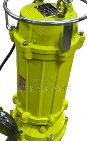 Original 5.5hp 70m Head 2 Inch Submersible Mining Pump
