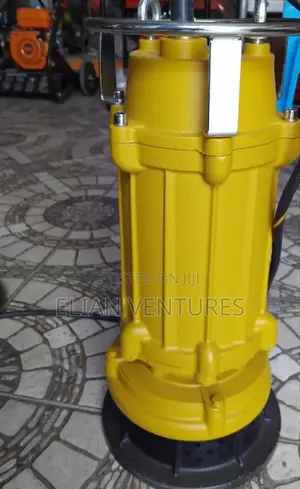 Affordable 3hp 38m Head 2 Inch Submersible Mining Pump