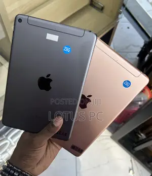Apple iPad mini 5 256 GB Gray