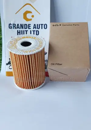 Oil Filter Hyundai Santafe/Palisade 2020 Geniune