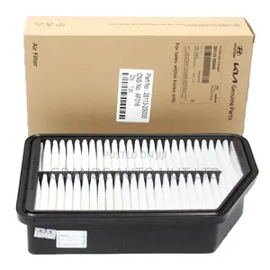 Air Filter/Air Cleaner/Element Gunuine