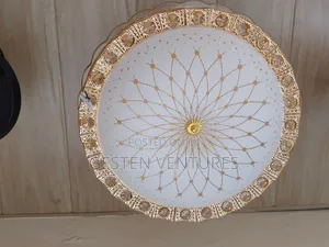 Unique 2 Bulbs Fullmoon Ceiling Light Hf5