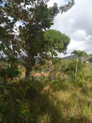 5 Acres of Land on Sale in Kwale After Tsimba Town.