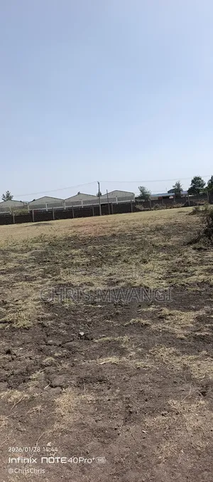 Ready Title Deed