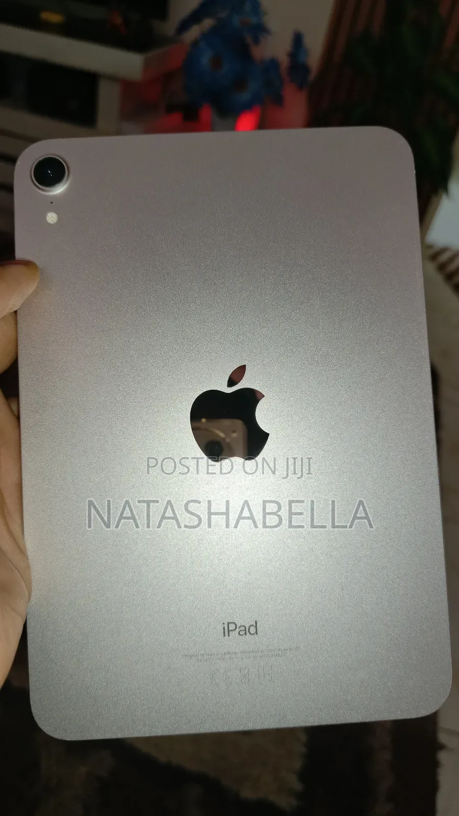 Apple iPad mini 6 64 GB Gray