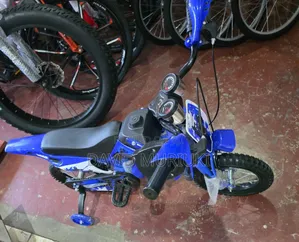 Fancy Bike/Nduthi Bike 
Size 16