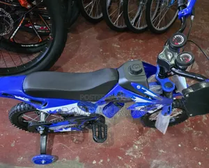 Fancy Bike/Nduthi Bike 
Size 20