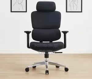 Office Chair : Robin Orthopedic High Back Ergonomic Office Chair