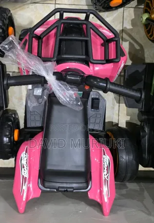 Electric Quad Bikes.