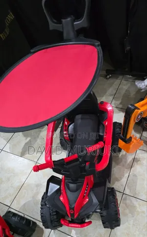 Push Car With Umbrella