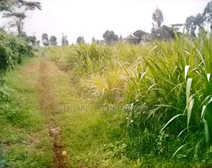 Lifetime Offer Land in Waguthu Kanunga Area (Owner Direct Sale)