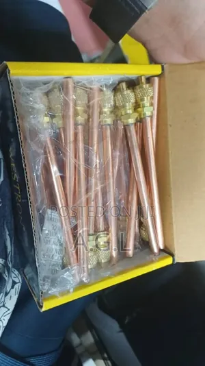 Charging Valve /Charging Access Valve