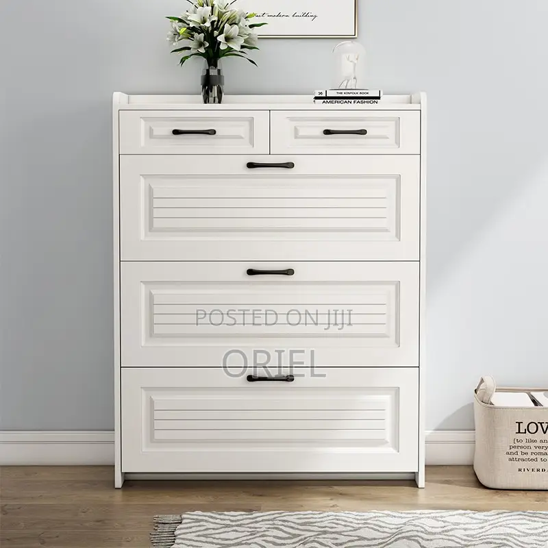 White Modern Shoe Storage Rack
