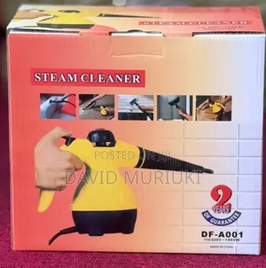 Steam Cleaners