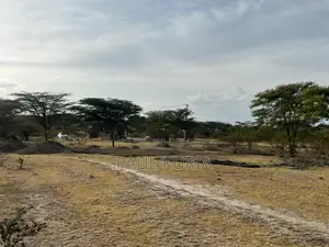 Koma,Kangundo Road 50by100 Plots for Sale