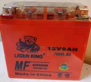 Liger King 12v 9ah Lead-Acid Battery.