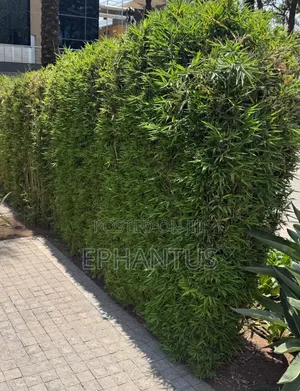 1/2 Acre Kiambu Road
