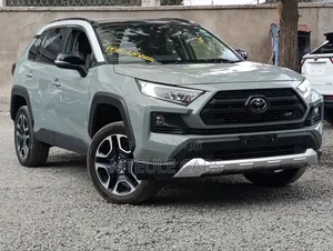 Toyota RAV4 2019 Gray