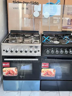 Turkey Roch Silver 60×60 Standing 3+1 Cooker