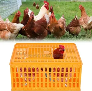 Chicken Carrier