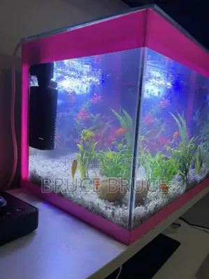 Fish Tank.