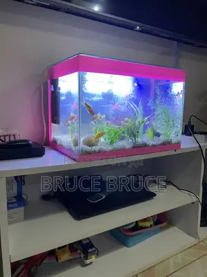 Fish Tank.