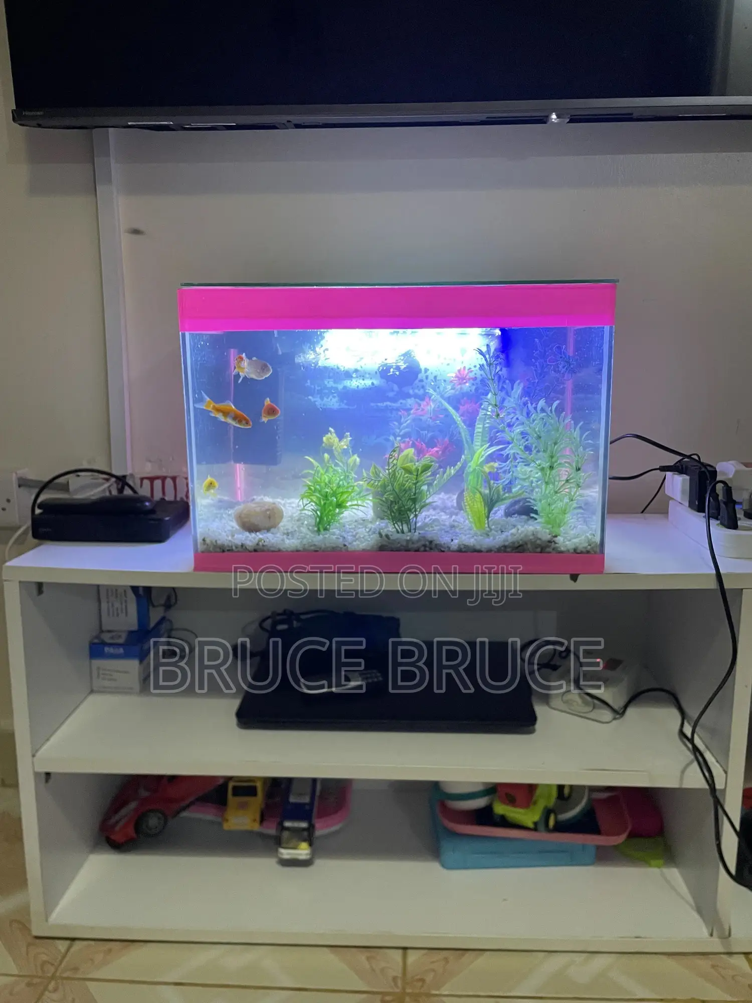 Fish Tank.