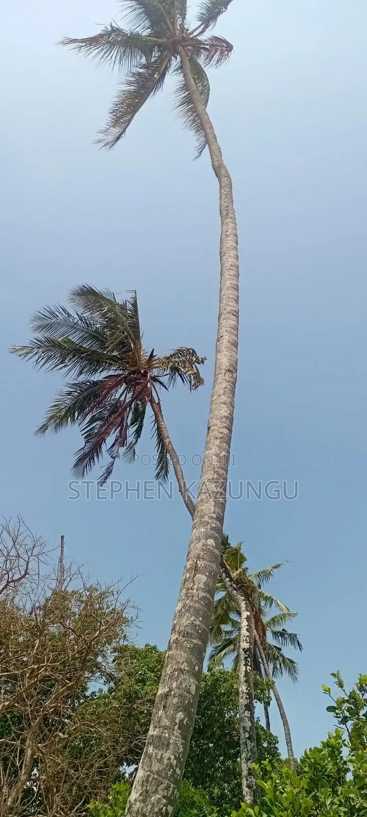 Water Touching 3.1/4 Acres Beach Plot at Galu Beach