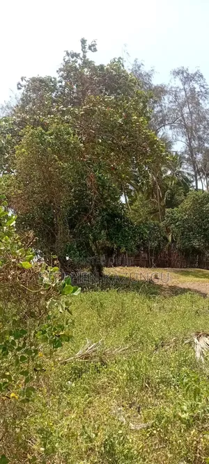 Water Touching 3.1/4 Acres Beach Plot at Galu Beach