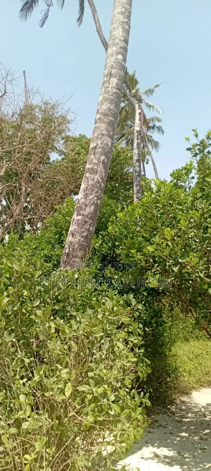 Water Touching 3.1/4 Acres Beach Plot at Galu Beach