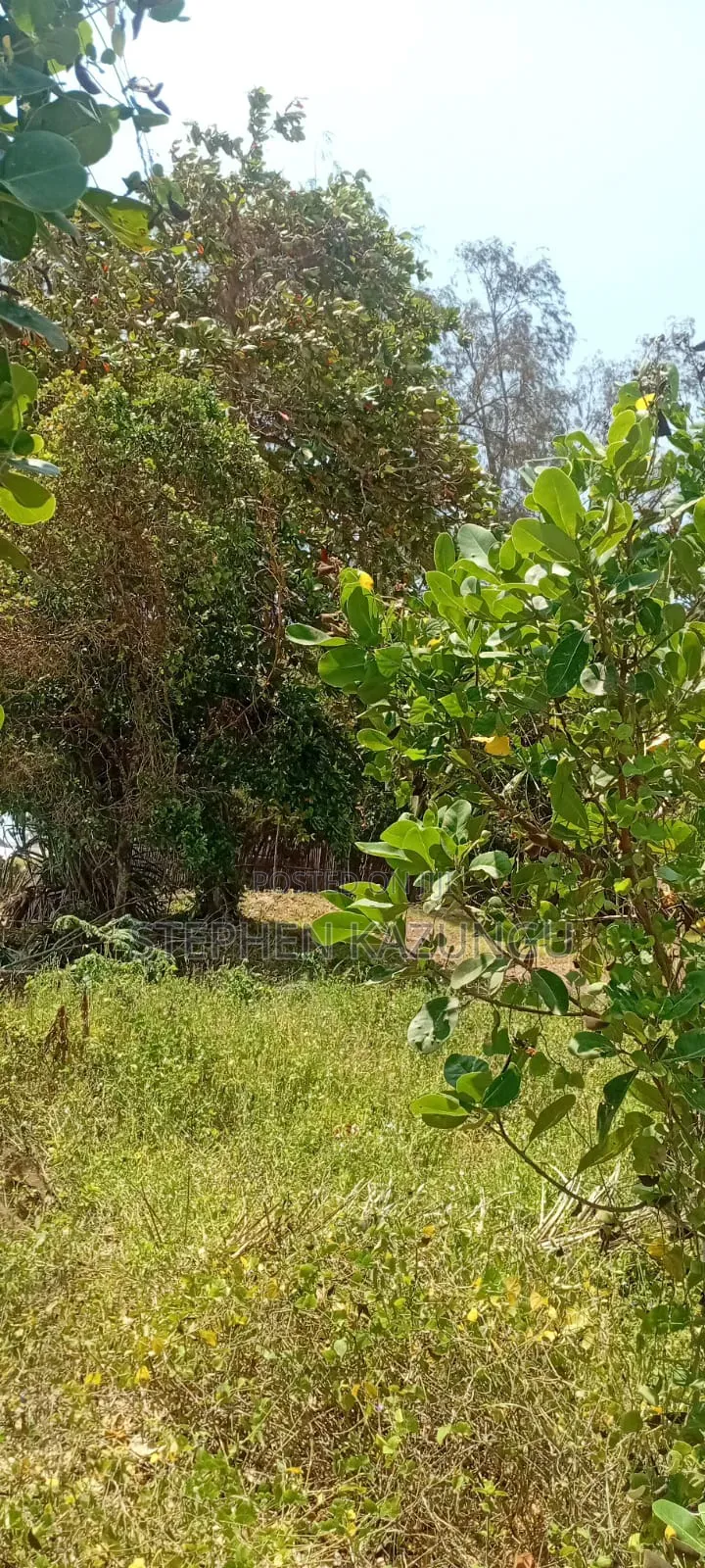 Water Touching 3.1/4 Acres Beach Plot at Galu Beach
