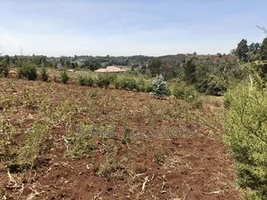 An Half Acre Plot for Sale in Kikuyu Along Ondiri-Nderi Road
