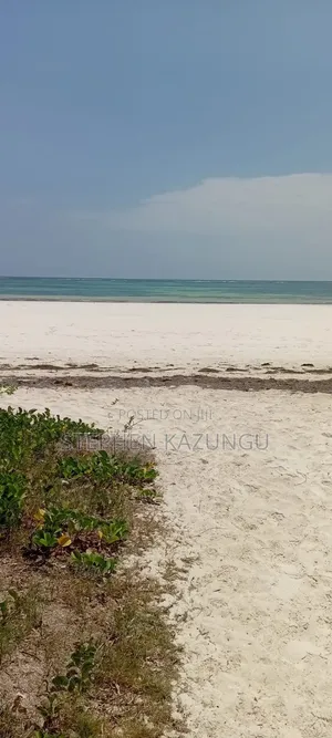 1 Acre White Sandy Beach Plot at Galu Beach in Diani.