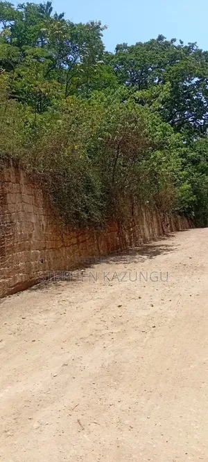 Galu Beach Plot 2 1/4 Acre Plot at a White Sandy at Galu.