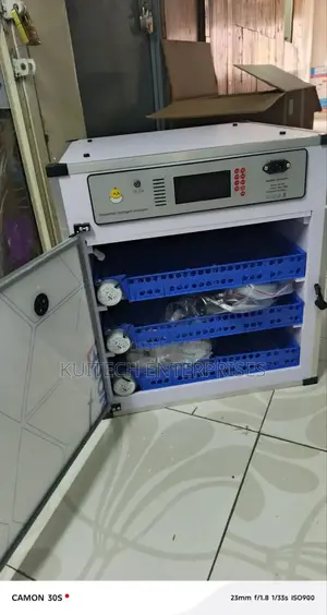 Ac/Dc 204 Eggs Capacity Egg Incubator/ Automatic Incubator