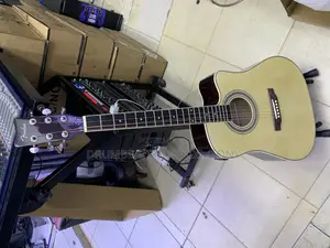 Fender Semi Acoustic