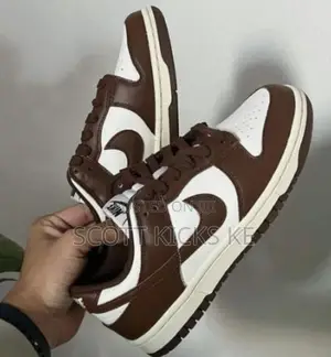 Nike Sb Brown White Unisex Sneakers