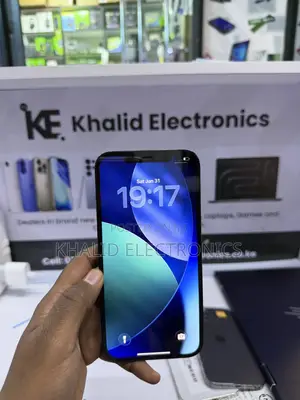 Apple iPhone 12 Pro Max 256 GB Blue