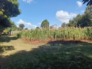 3 Quarter Plots for Sale at Muthiga for Sale at 30m
