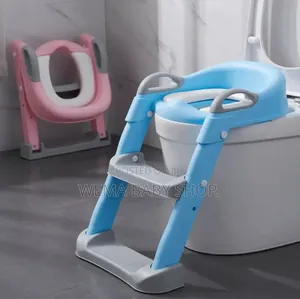 Toddler Potty Training Seat With a Step Stool Ladder.