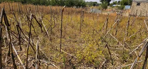 Plot for Sale in Illula Eldoret Behind Shopping Centre