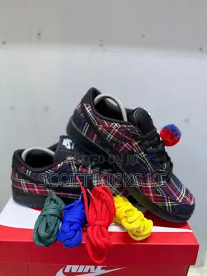 Nike Sb ×Nardwuar Low Dunk 